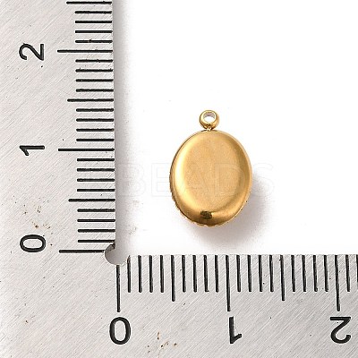 304 Stainless Steel Pave Resin Oval Charms with Bear X-STAS-L022-248G-1