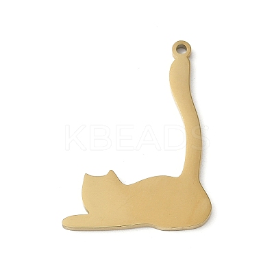 304 Stainless Steel Pendants STAS-E501-11G-1