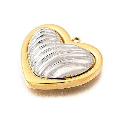 304 Stainless Steel Pendants STAS-M123-03I-PG02-1