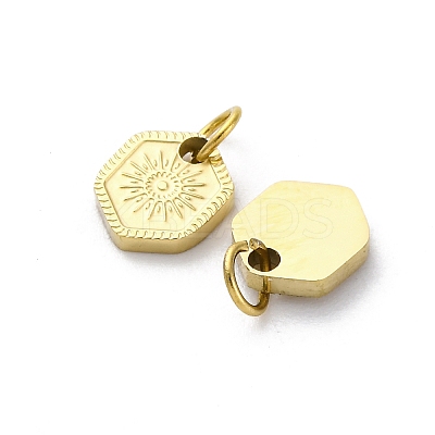 304 Stainless Steel Charms STAS-E550-12G-1