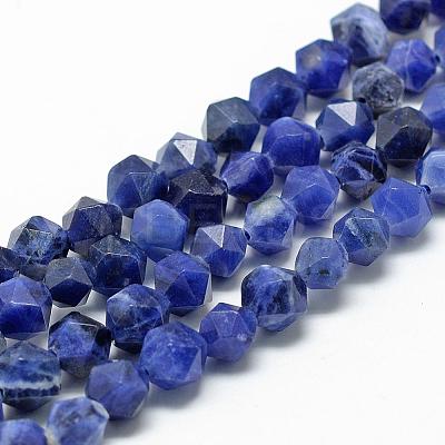 Natural Sodalite Beads Strands G-R448-8mm-09-1