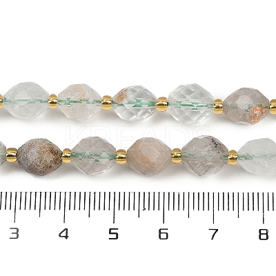 Natural Green Lodolite Quartz  Beads Strands G-N342-149A-1