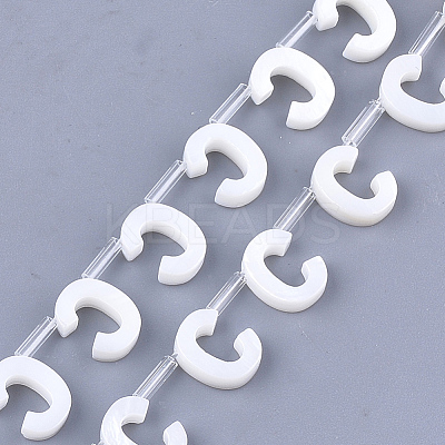Natural Freshwater Shell Beads SHEL-T012-59C-1