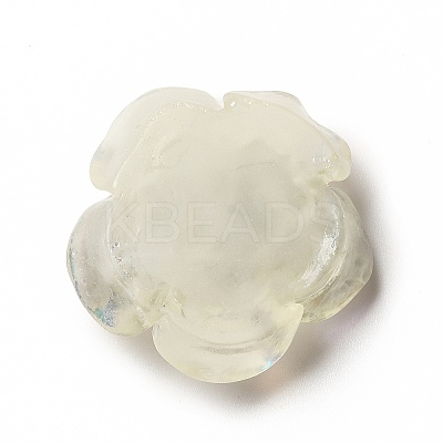 Luminous Resin Cabochons CRES-D005-C05-1