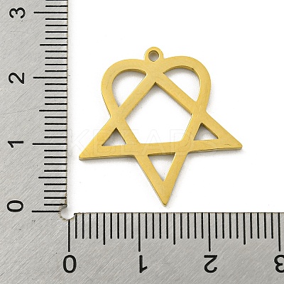 304 Stainless Steel Pendants LS-STAS-R228-03G-1