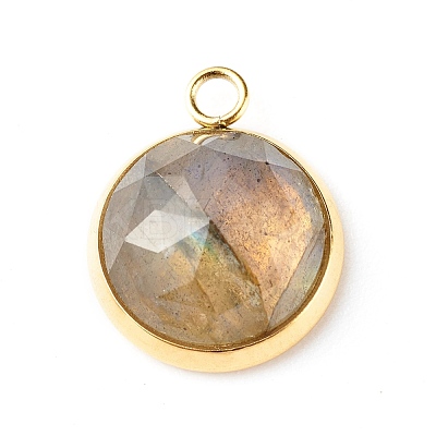 Handmade Natural Mixed Gemstone Pendants PALLOY-JF00791-1