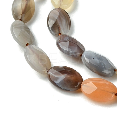 Natural Botswana Agate Beads Strands G-H004-B02-03-1