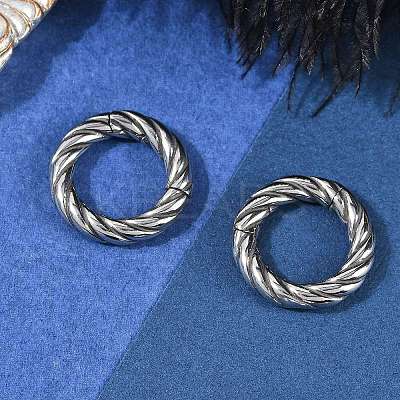 Twisted Ring 316 Surgical Stainless Steel Hoop Nose Rings EJEW-G416-19E-AS-1