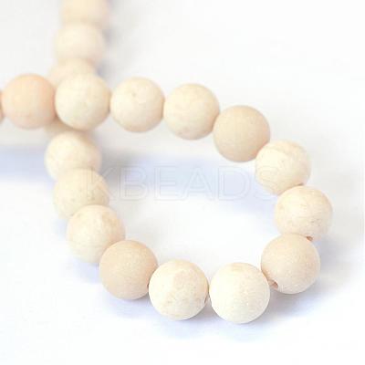 Frosted Natural Fossil Round Bead Strands G-E334-8mm-22-1