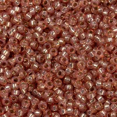MIYUKI Round Rocailles Beads X-SEED-G009-RR0553-1