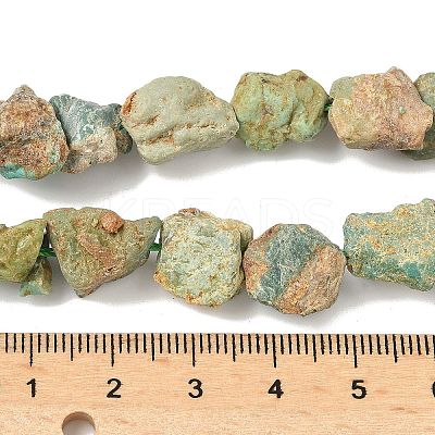 Raw Rough Natural HuBei Turquoise Beads Strands G-M453-D09-1