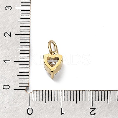 316 Stainless Steel Micro Pave Cubic Zirconia Charms LS-ZIRC-P108-01G-D-1