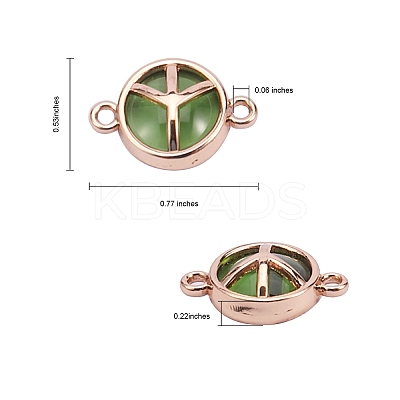 40Pcs 20 Style Glass Links/Connectors GLAA-SZ0001-63-1