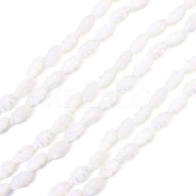 2 Strands Natural Trochus Shell Beads Strands SHEL-TA0001-20-1
