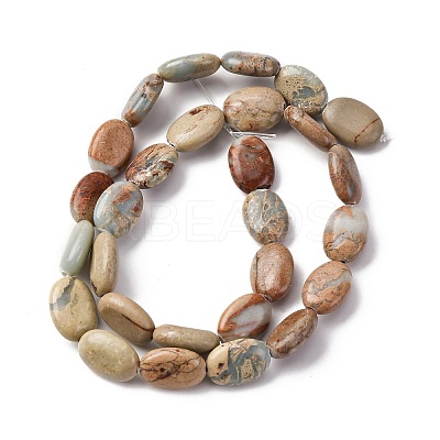 Natural Aqua Terra Jasper Beads Strands G-L624-E03-14x10mm-1