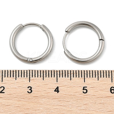 Tarnish Resistant 304 Stainless Steel Hoop Earrings EJEW-P177-P-08-1