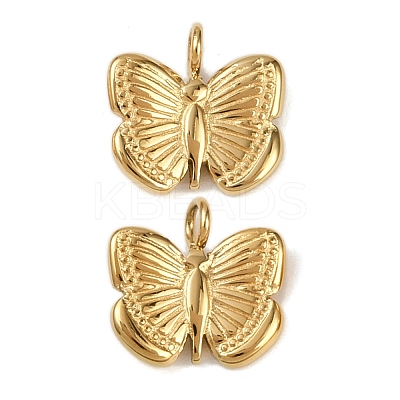 304 Stainless Steel Charms STAS-R170-01G-08-1