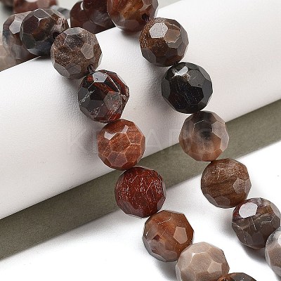 Natural Petrified Wood Beads Strands G-C150-B01-02-1