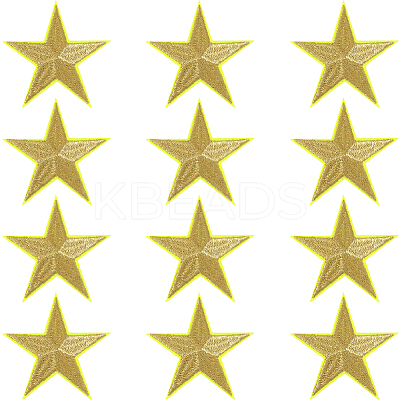 12Pcs Star Shape Cloth Embroidery Applqiues PATC-GF0001-33B-1