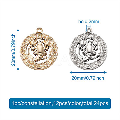 2 Sets 2 Colors Zinc Alloy Jewelry Pendant Accessories FIND-FW0001-06-1