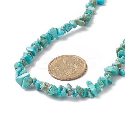 Dyed Synthetic Turquoise Chip Beaded Necklaces with 304 Stainless Steel Lobster Claw Clasp & Chain Extender NJEW-JN04225-05-1
