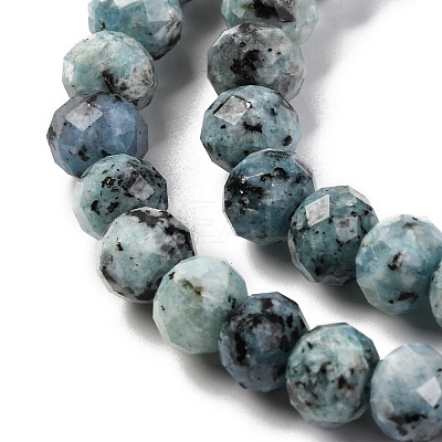 Natural Sesame Jasper Beads Strands G-K380-A18-01-1