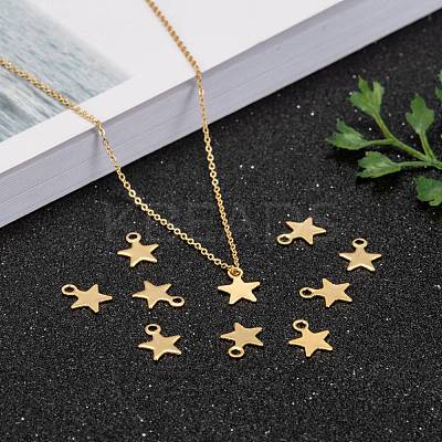 304 Stainless Steel Charms STAS-F159-43G-1