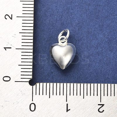 925 Sterling Silver Pendants STER-P057-07C-S-1