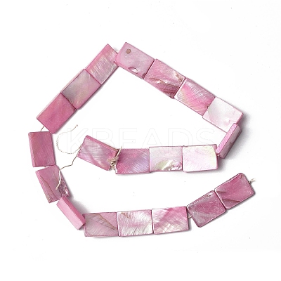 Natural Freshwater Shell Beads Strands SHEL-C003-04-1