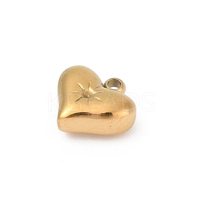 304 Stainless Steel Pendants STAS-L283-23G-1