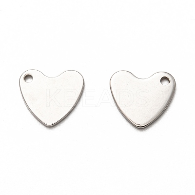 Non-Tarnish 201 Stainless Steel Charms STAS-I172-29P-1