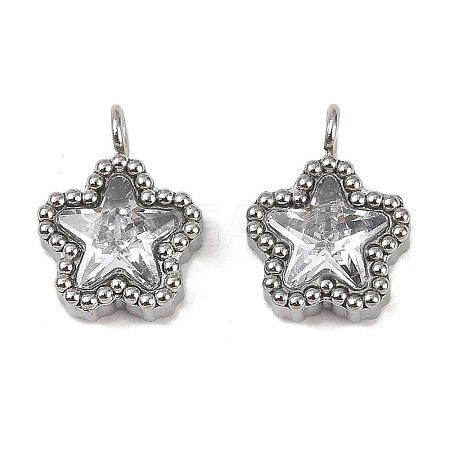 304 Stainless Steel Micro Pave Cubic Zirconia Charms STAS-K302-01A-P-1