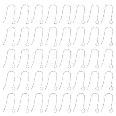 100Pcs 316 Stainless Steel Earring Hooks STAS-UN0041-94-1