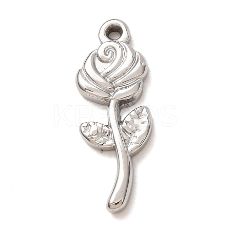 304 Stainless Steel Pendants SA-CBAB6EC-19P-02-1