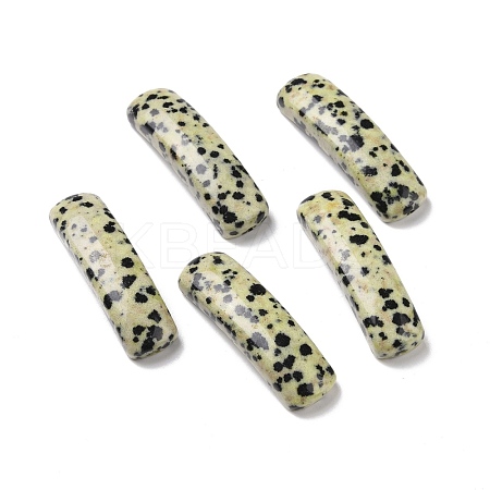 Natural Dalmatian Jasper Connector Charms G-D460-02J-1