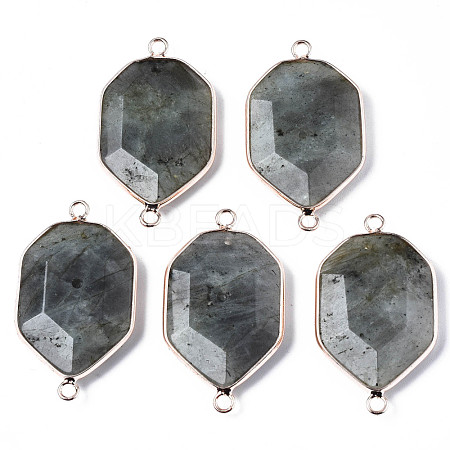 Natural Labradorite Links Connectors G-S359-280B-1