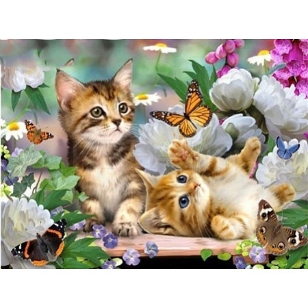 DIY Rectangle Cat Theme Diamond Painting Kits DIAM-PW0004-007-1