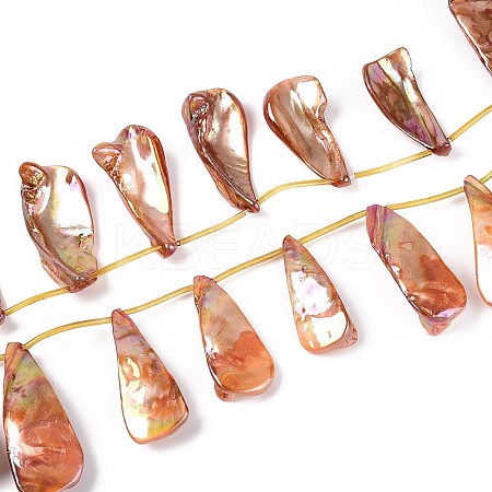 AB Color Plated Dyed Natural Freshwater Shell Beads Strands SHEL-T020-55E-1