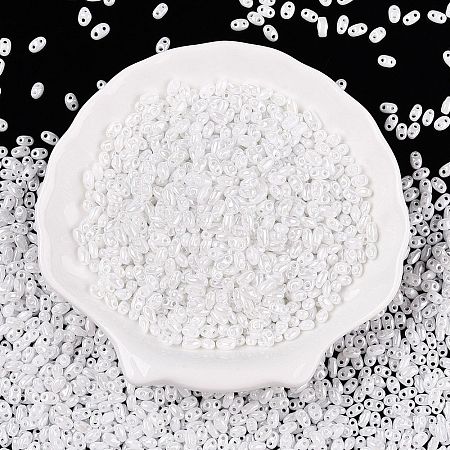 Opaque Colours Luster Glass Seed Beads SEED-T006-02L-1