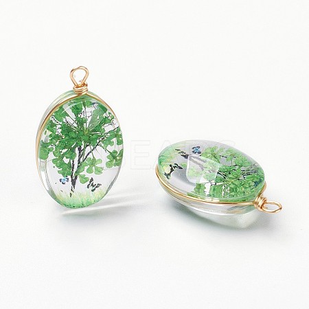 Inner Flower Glass Pendants LS-GLAA-K036-A06-NF-1