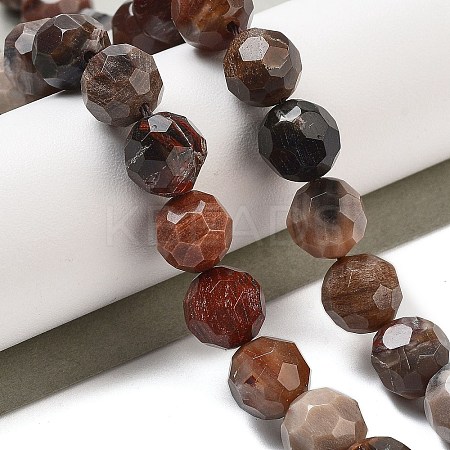 Natural Petrified Wood Beads Strands G-C150-B01-02-1