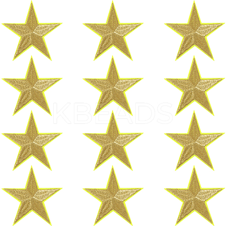 12Pcs Star Shape Cloth Embroidery Applqiues PATC-GF0001-33B-1