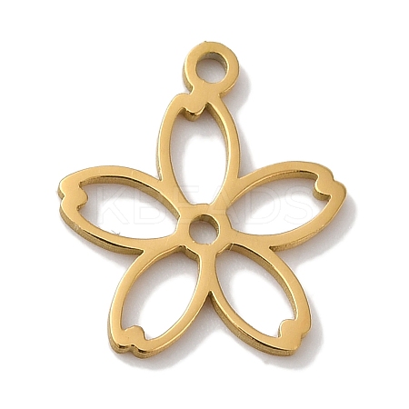304 Stainless Steel Charms STAS-U010-01G-1