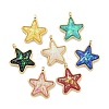 Translucent Resin Pendants KK-M291-24-1