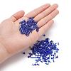 Glass Seed Beads X-SEED-S059-005-5