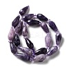 Natural Lepidolite/Purple Mica Stone Beads Strands G-B028-A06-3