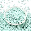 6/0 Glass Seed Beads SEED-L011-08A-14-2