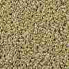 TOHO Round Seed Beads SEED-TR11-PF0559-2