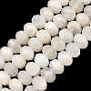 Natural White Moonstone Beads Strands G-C259-A42-5x8mm-2