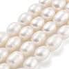 Natural Cultured Freshwater Pearl Beads Strands PEAR-P062-10J-2